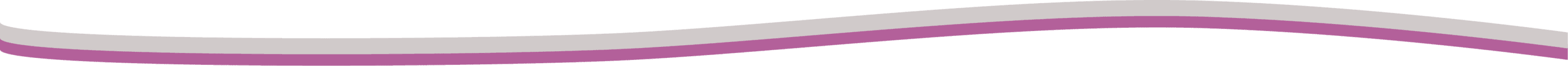 grey_purple_design_line_CPAS de Schaerbeek